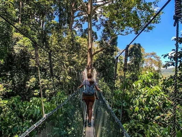 Mujer que lleva a un niño en un portabebés caminando por un puente del dosel en un bosque exuberante