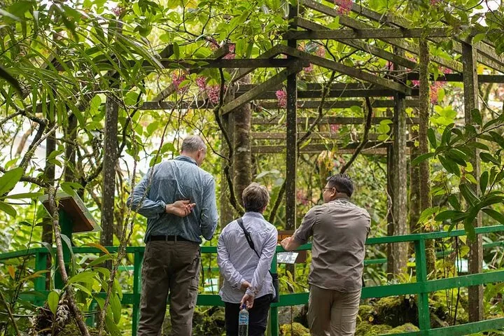 Three people observing plants under a wooden pergola in a botanical garden