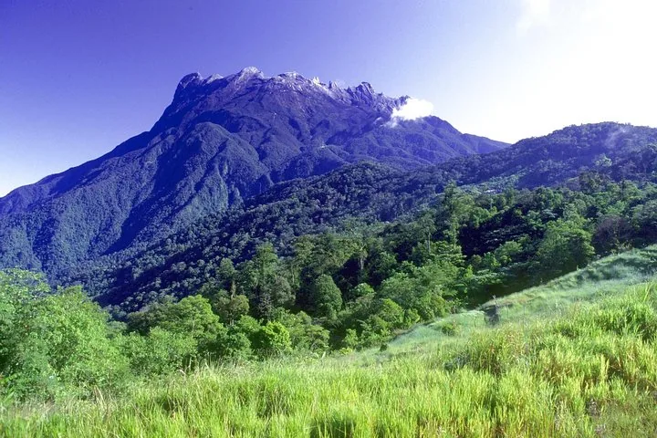 Scenic view of Mount Kinabalu rising above a lush, green forest landscape